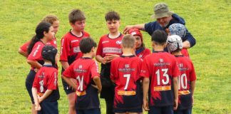 Sesto Rugby
