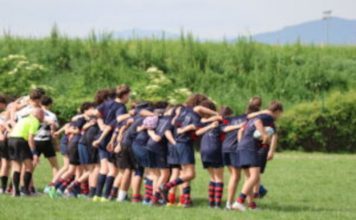 Sesto Rugby