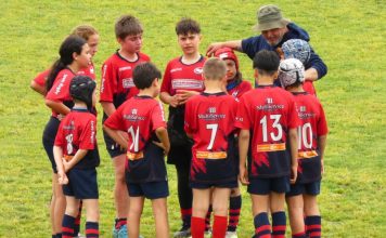 Sesto Rugby