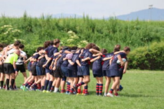 Sesto Rugby