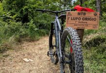 lupo 3