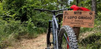 lupo 3