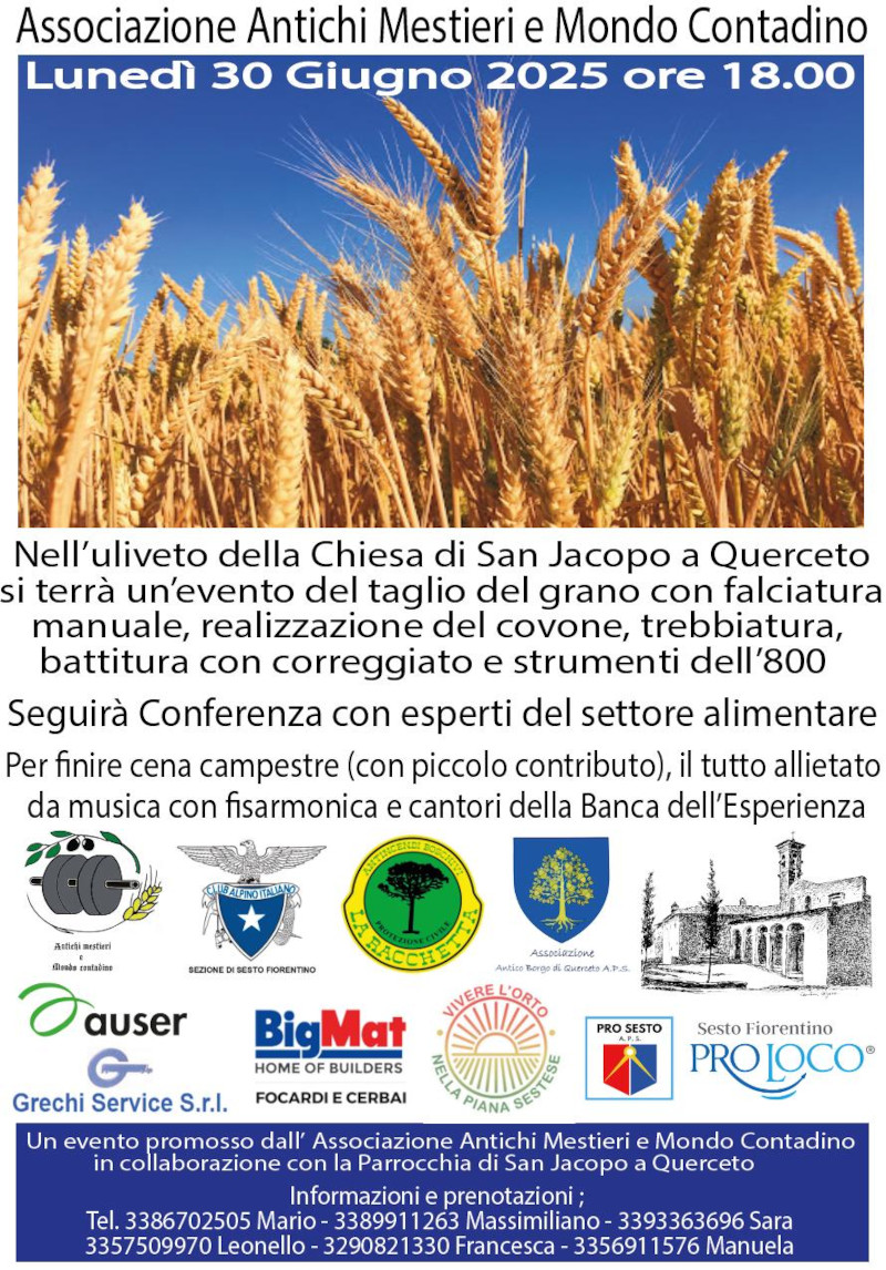 Battitura grano