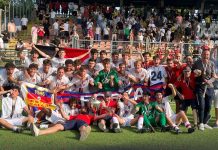 Sestese calcio