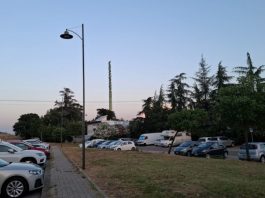 Terna