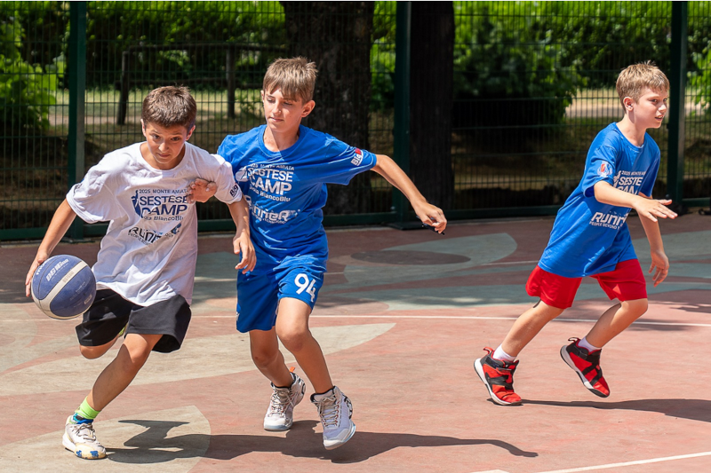 Basket