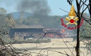 Incendi nella Piana: interrogazione parlamentare del M5S