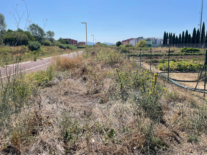 Ciclabile 4