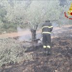 Vigili del Fuoco