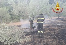 Calenzano: incendio di vegetazione a Legri Vigili del Fuoco