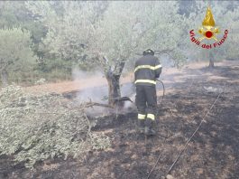 Calenzano: incendio boschivo a Legri Vigili del Fuoco
