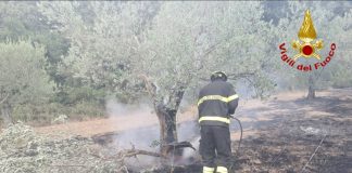 Calenzano: incendio boschivo a Legri Vigili del Fuoco