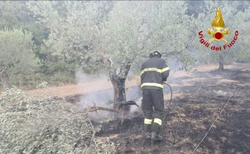Vigili del Fuoco