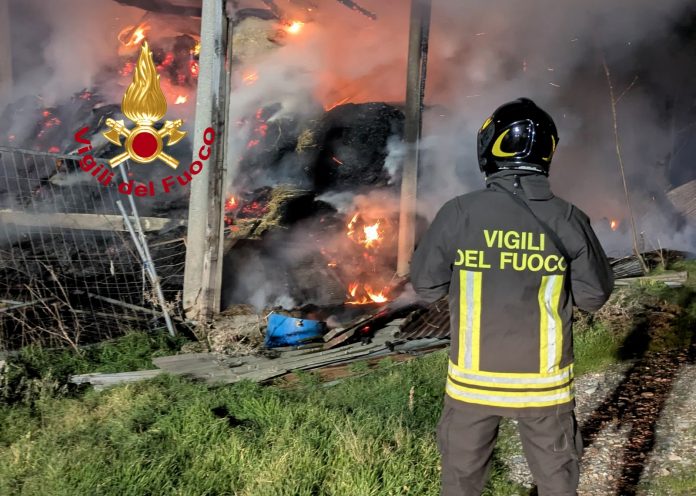 Vigili del Fuoco