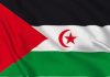 Rete Saharawi: preoccupazione per il ‘Piano di autonomia’ proposto dal Marocco