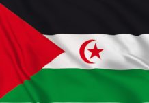 Rete Saharawi, preoccupazione per il ‘Piano di autonomia’ proposto dal Marocco