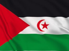 Rete Saharawi: preoccupazione per il ‘Piano di autonomia’ proposto dal Marocco