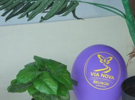 Via Nova