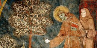 Spiritualità, montagna e responsabilità: dialogo su Francesco d’Assisi con il CAI Sesto Fiorentino