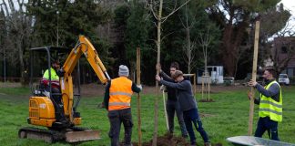Piantumazione alberi