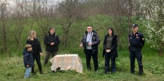 Parco della Piana: liberati alcuni volatili trovati in difficoltà