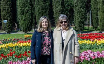 Sesto: quarantamila tulipani in fiore al Bardo per la quinta edizione di Wonderandpick