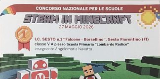 Concorso nazionale per scuole: vince la classe 5A della primaria “Radice” di Sesto