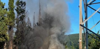 Sesto: tre auto a fuoco in via di Gualdo