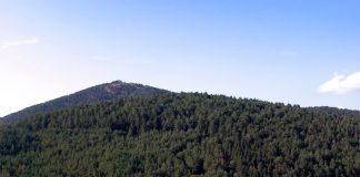 Monte Morello spinge Sesto sopra la media nazionale: quasi il 40% del territorio è coperto da boschi