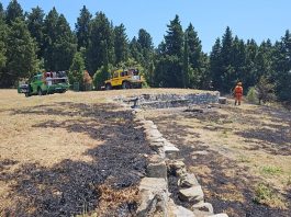 Sesto: incendio in zona Castellina. Non ci sono persone coinvolte