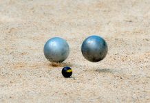 Campionati Regionali Bocce Paralimpiche DIR: Sestese prima nella categoria C Bocce - Pixabay
