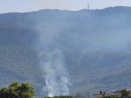Estate rovente: a fuoco un’oliveta a Quinto Alto