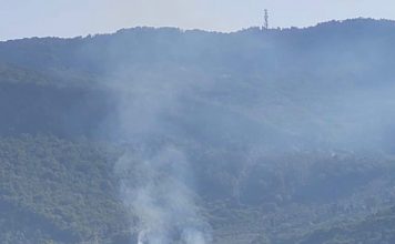 Estate rovente: a fuoco un’oliveta a Quinto Alto