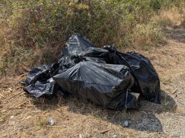 Monte Morello: biker al servizio del territorio CAI