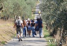 Cai Sesto Fiorentino