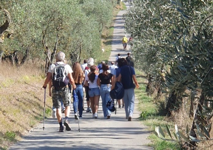 Cai Sesto Fiorentino