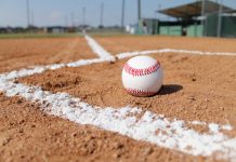 A Padule open day per baseball e softball Pixabay-Baseball