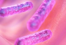 Legionella, Via Nova: “Servono controlli a tappeto in tutte le scuole di Sesto” Pixabay