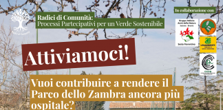 “Radici di Comunità”: evento al parco dello Zambra a Sesto